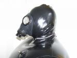 Bild zum Artikel: System Gasmaske