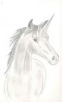 Bild zum Artikel: Einhorn-Reiki, Reiki, Ferneinweihung