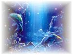 Bild zum Artikel: Fairy Light, Reiki, Ferneinweihung