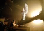 Bild zum Artikel: Angels take the Soul Shares, Reiki, Ferneinweihung