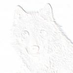 Bild zum Artikel: Fylgia - Dein Tiergeist, Reiki, Ferneinweihung