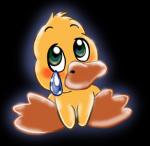 Bild zum Artikel: Basaltsteine für HOT STONE