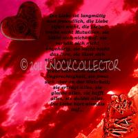 Bild zum Artikel: Sprüchebild Hohelied der Liebe